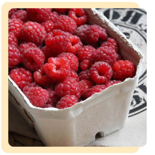 SPPA Webpage Graphic Rasberry v1